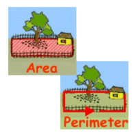 Perimeter of a Rectangle - Class 9 - Quizizz
