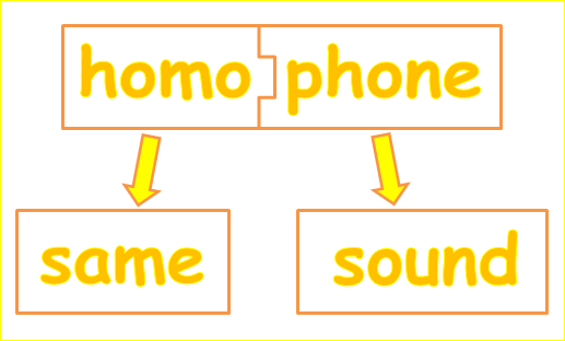 Homophones and Homographs - Class 10 - Quizizz