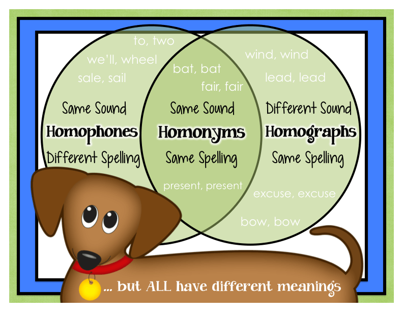 Homophones Homographs Homonyms 41k Plays Quizizz 