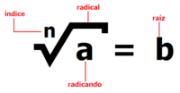 Expresiones radicales - Grado 10 - Quizizz