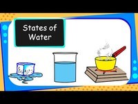 movements of ocean water - Year 2 - Quizizz