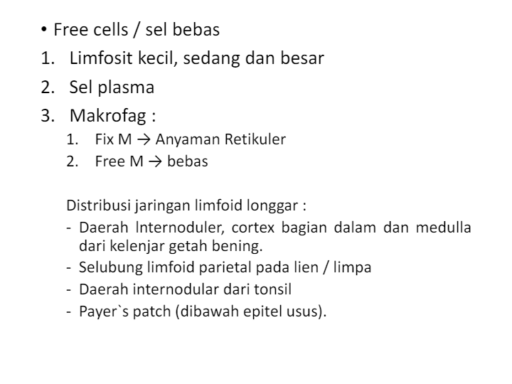 Histologi Sistem Limfatik Science Quizizz