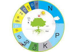 Sức khỏe & Sức khỏe - Lớp 11 - Quizizz