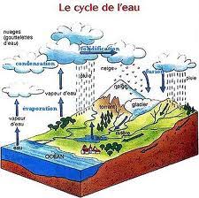 Quiz Cycle de l'eau