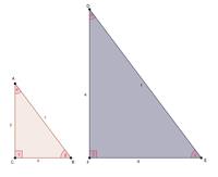 Diện tích của một tam giác - Lớp 8 - Quizizz