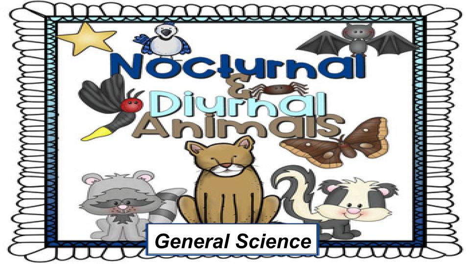 Diurnal & Nocturnal Animals | Science - Quizizz