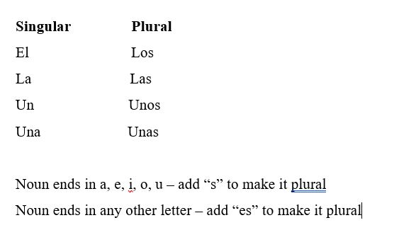 Plural Nouns - Year 12 - Quizizz