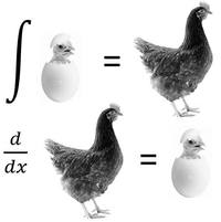 integrales - Grado 12 - Quizizz