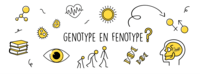 vocabulario de genética genotipo y fenotipo Tarjetas didácticas - Quizizz