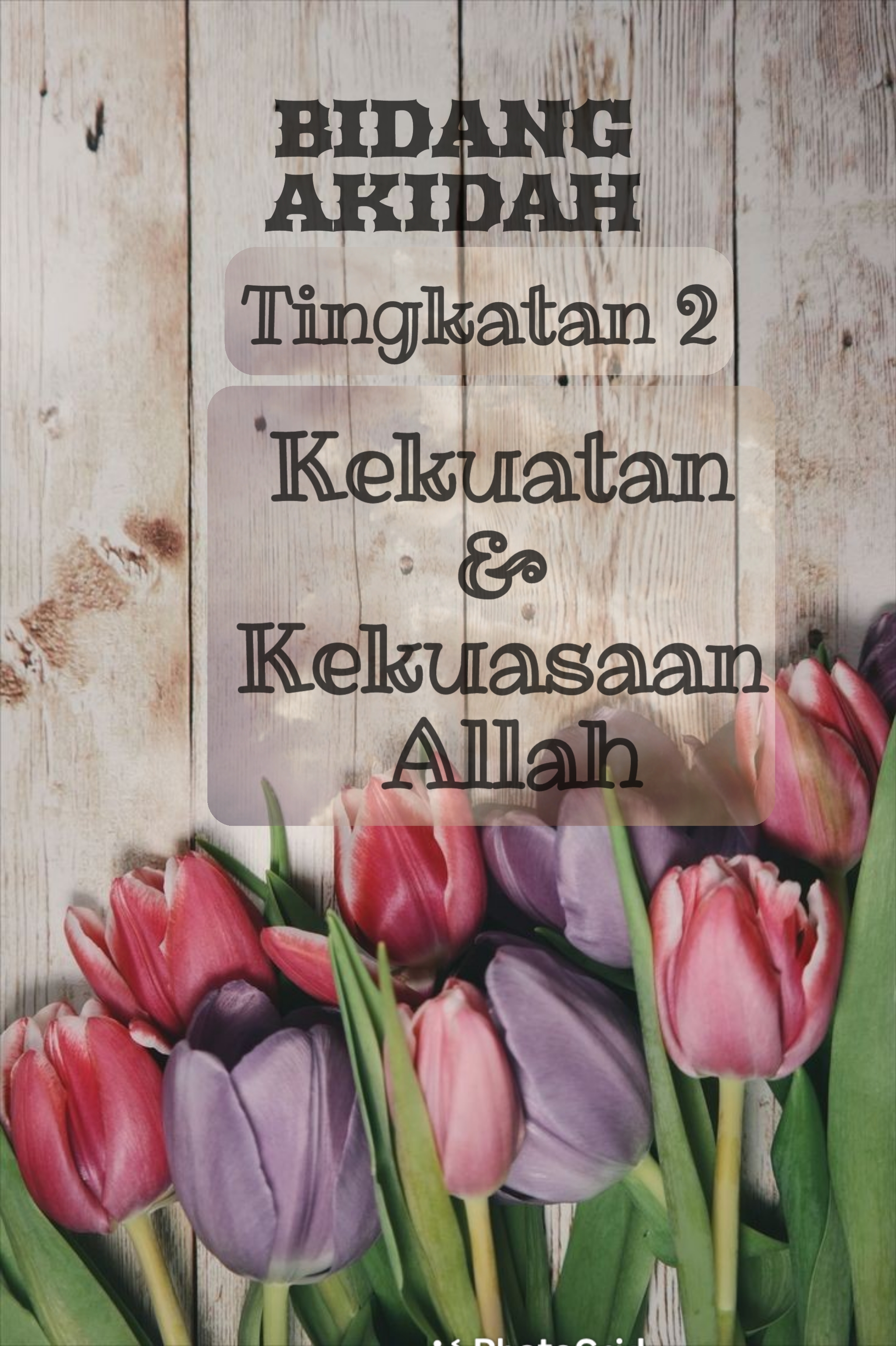 Kekuatan dan Interaksi - Kelas 2 - Kuis