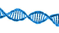 genetic mutation - Year 3 - Quizizz