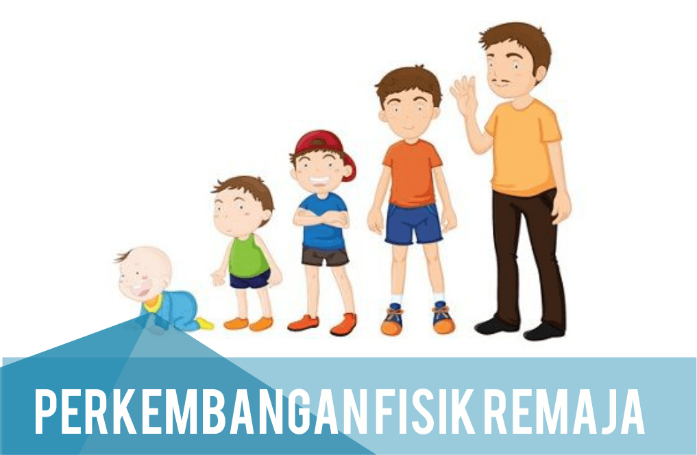 Perkembangan Tubuh Remaja | Physical Ed Quiz - Quizizz