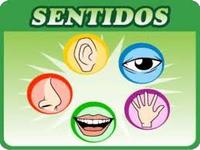 Os 5 sentidos Flashcards - Questionário