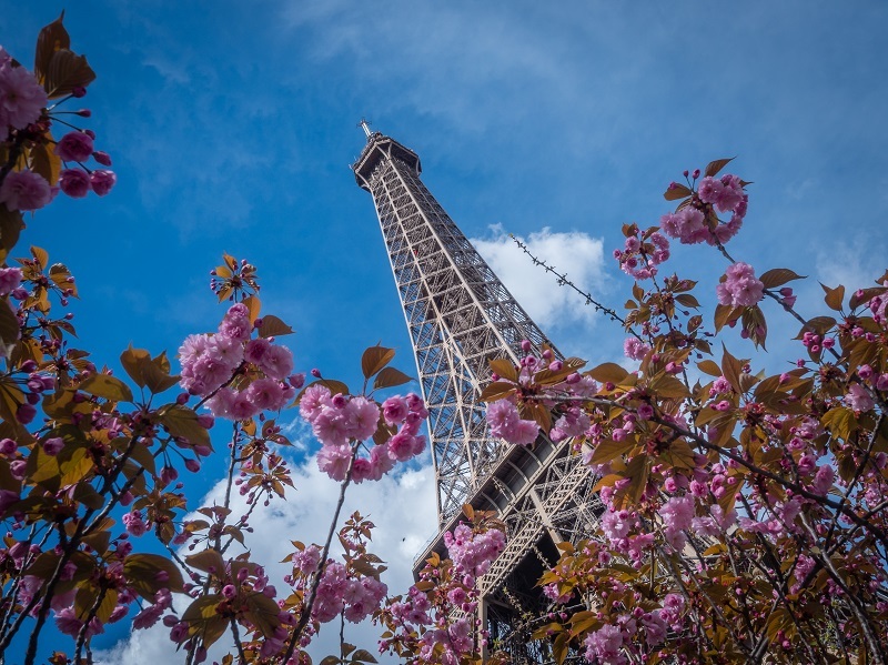 french-pronoun-review-world-languages-quizizz