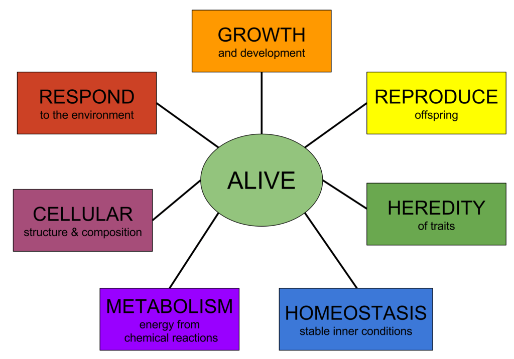 Characteristics Of Life Review Worksheet Answers