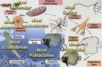 Formulário de interceptação de inclinação - Série 8 - Questionário