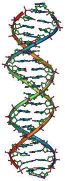 inherited and acquired traits - Grade 12 - Quizizz