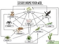 Food - Year 9 - Quizizz