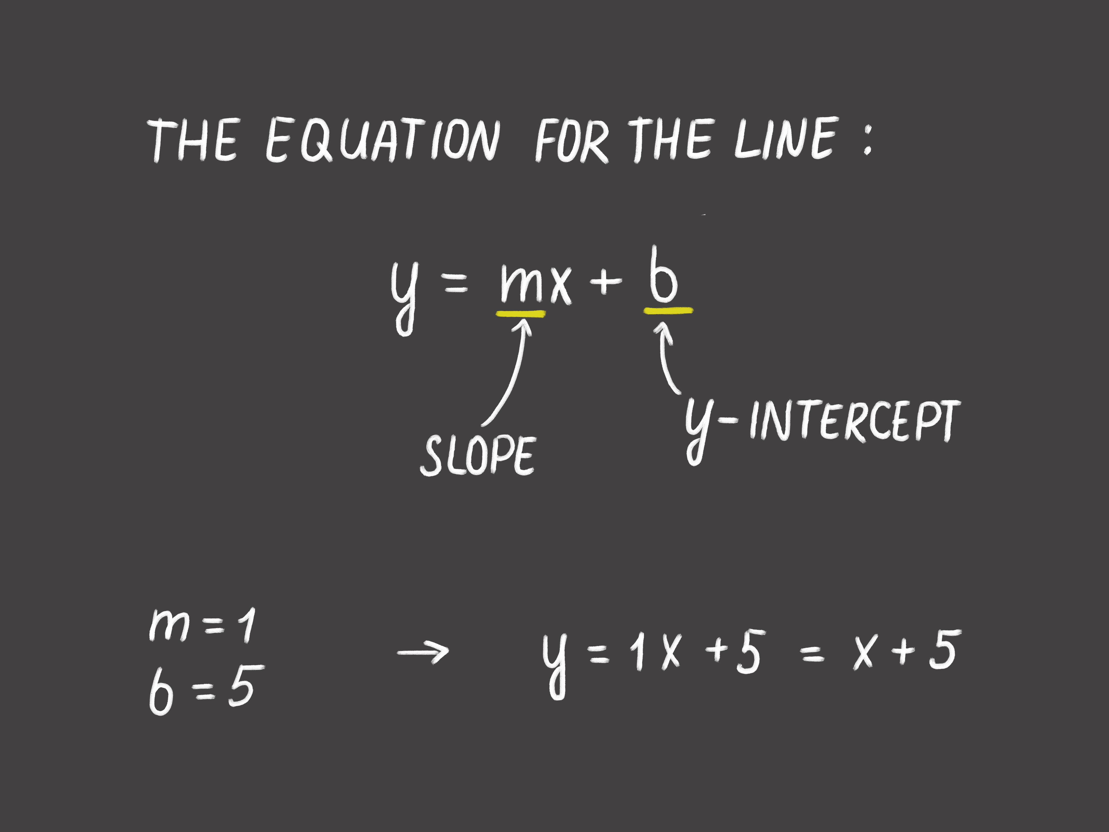 Lines of Symmetry - Grade 11 - Quizizz