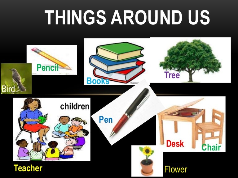 Things around us grade 3