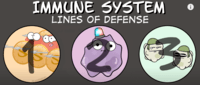 the immune system - Grade 9 - Quizizz