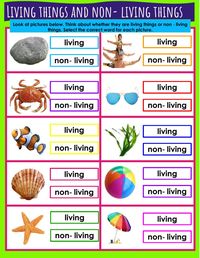 living and non living things - Year 7 - Quizizz
