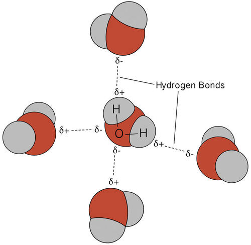 states of matter and intermolecular forces Flashcards - Quizizz