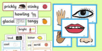 Sensory Words - Grade 9 - Quizizz