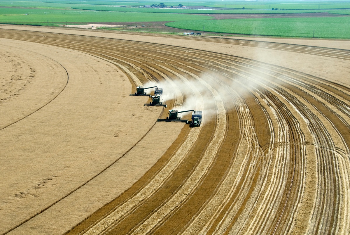 Landbouw in de VS