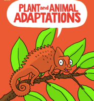 animal adaptations - Class 7 - Quizizz