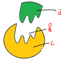 metabolisme - Kelas 12 - Kuis