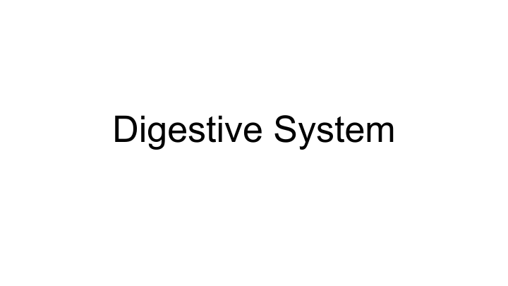 Digestive System | Science - Quizizz