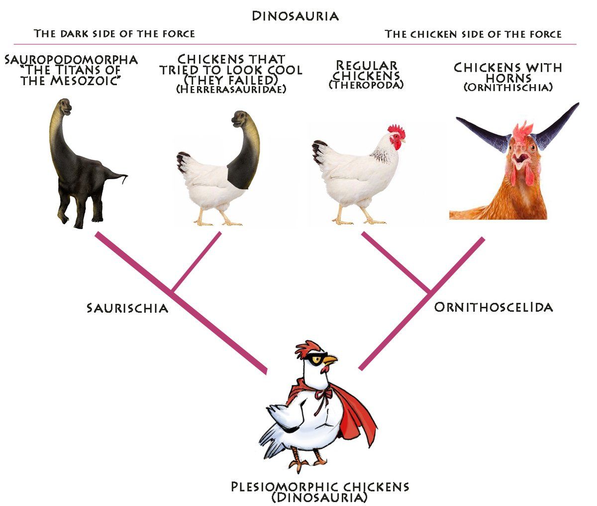 life-science-chapter-3-the-basic-units-of-life-quiz-quizizz