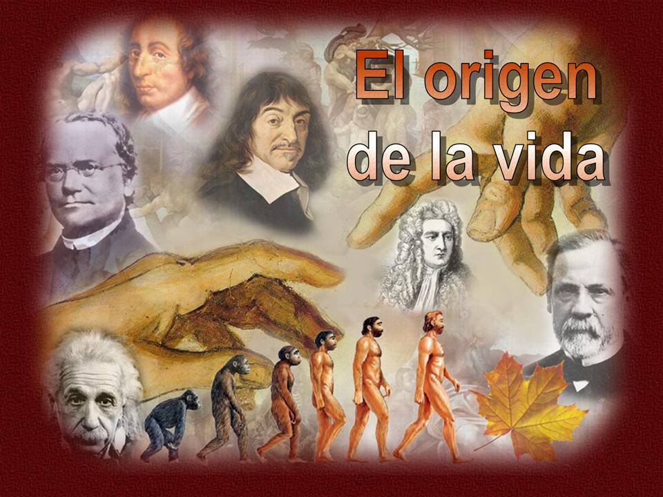 historia de la vida en la tierra - Grado 5 - Quizizz