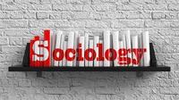 Sociology - Year 11 - Quizizz