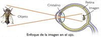 óptica geométrica - Série 5 - Questionário