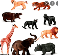 animales - Grado 4 - Quizizz