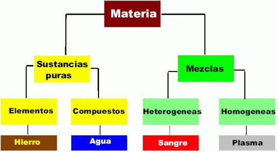 Clasificación de cuadriláteros - Grado 1 - Quizizz