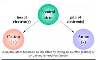 solids liquids and gases Flashcards - Quizizz