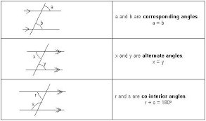 PARALLEL LINES AND ITS ANGLE PROPERTIES | Quizizz