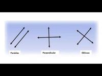 Rectas Paralelas y Perpendiculares - Grado 9 - Quizizz