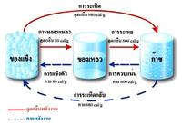 วิทยาศาสตร์โลกและอวกาศ - ระดับชั้น 10 - Quizizz