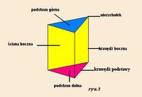 objętość i powierzchnia szyszek - Klasa 7 - Quiz