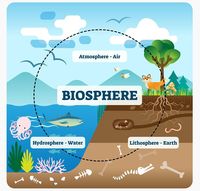 human biology Flashcards - Quizizz