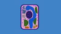 plant cell diagram - Year 6 - Quizizz