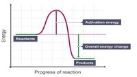 Energy - Year 10 - Quizizz