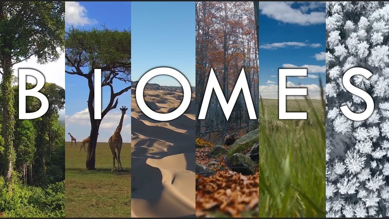 Biomes