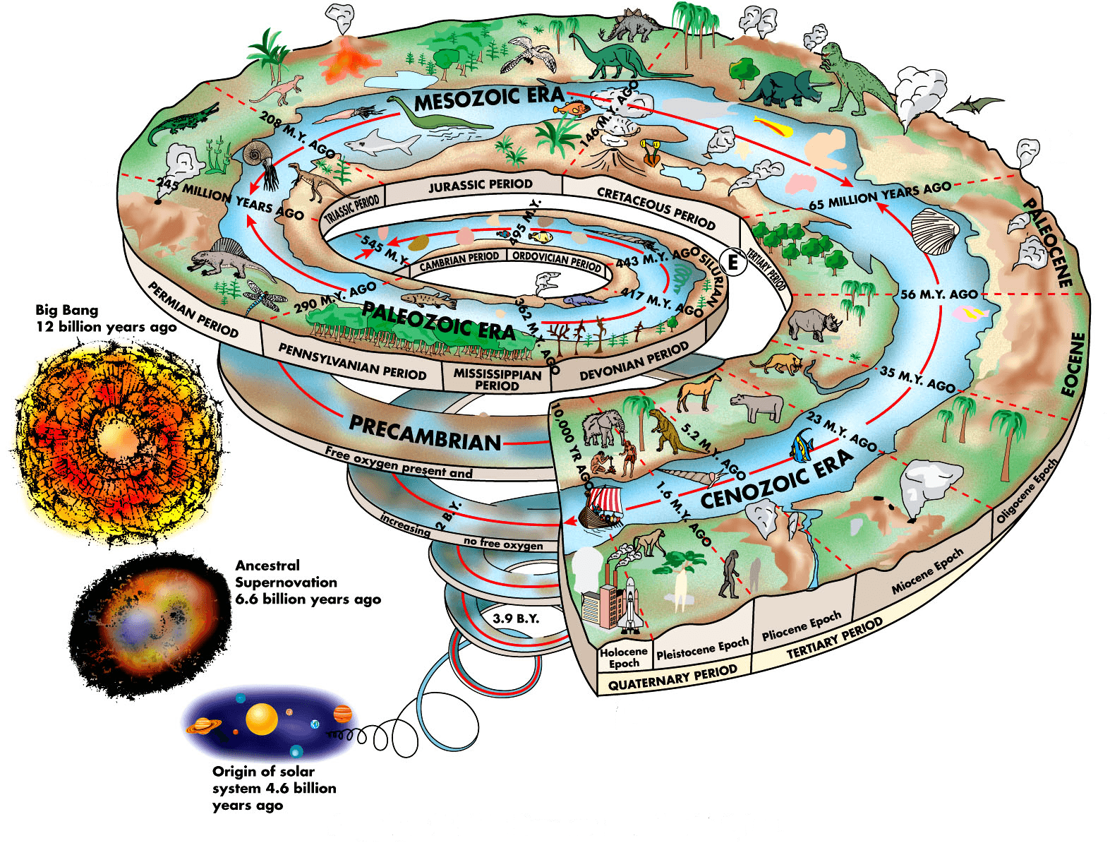 Geologic Time Scale | Quizizz