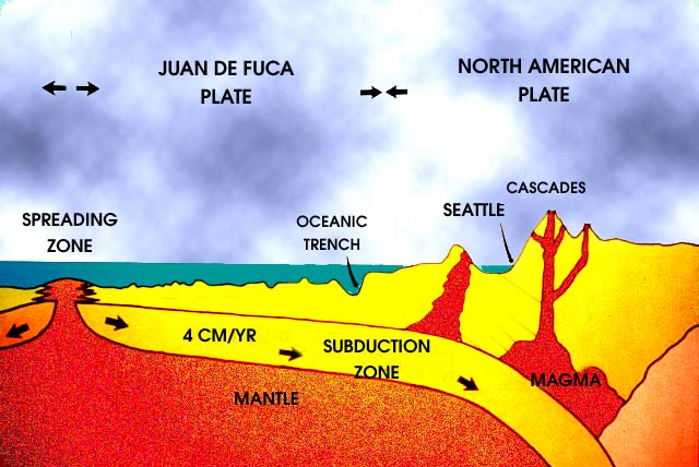 seafloor spreading | Other Quiz - Quizizz