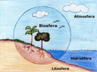 gleby - Klasa 9 - Quiz